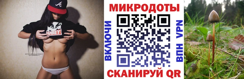 MEGA зеркало  Нерюнгри  Галлюциногенные грибы Psilocybe  наркошоп 